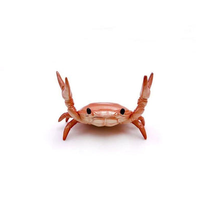 🤣 Lustiges Sonderangebot - 🦀 Niedlicher Stifthalter in Krabbenform